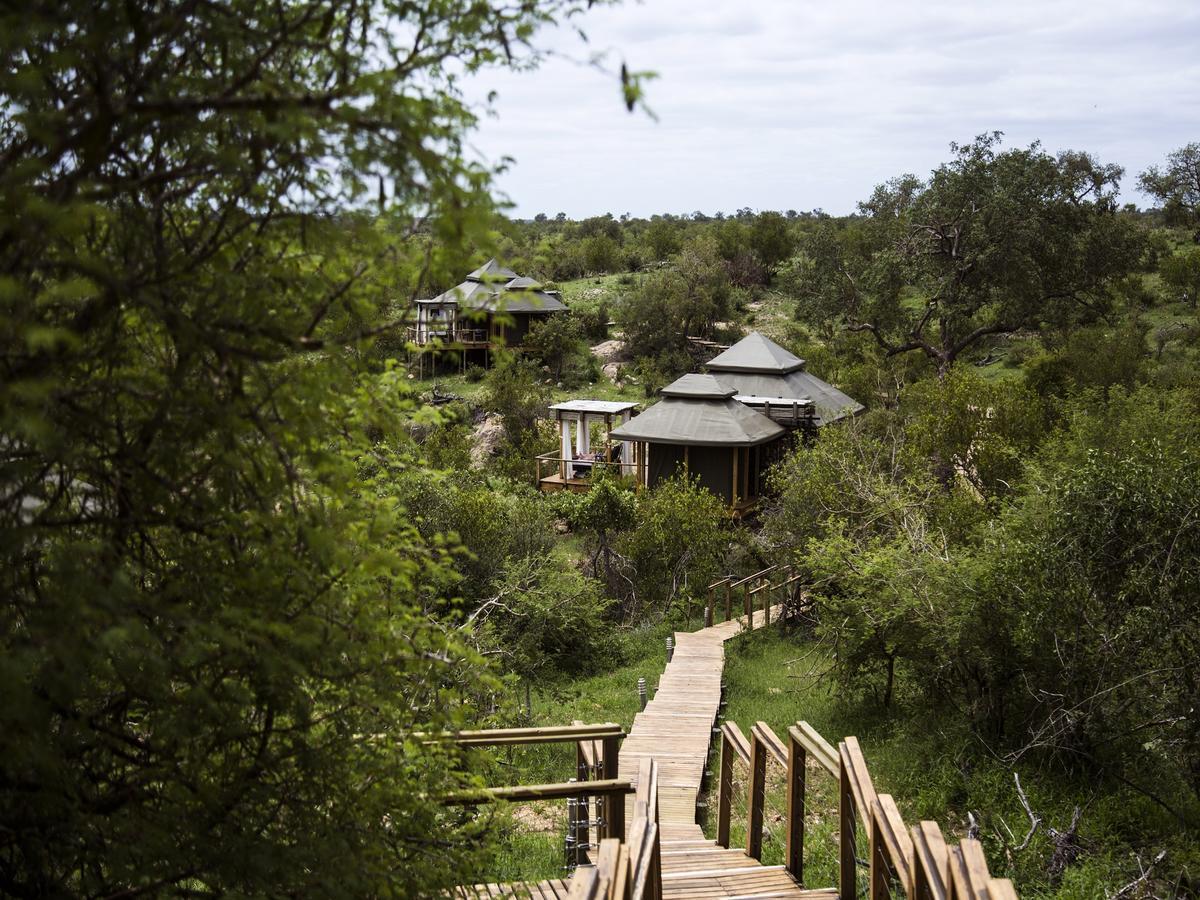 Simbavati Hilltop Lodge Резерват за дивеч „Тимбавати“ Екстериор снимка