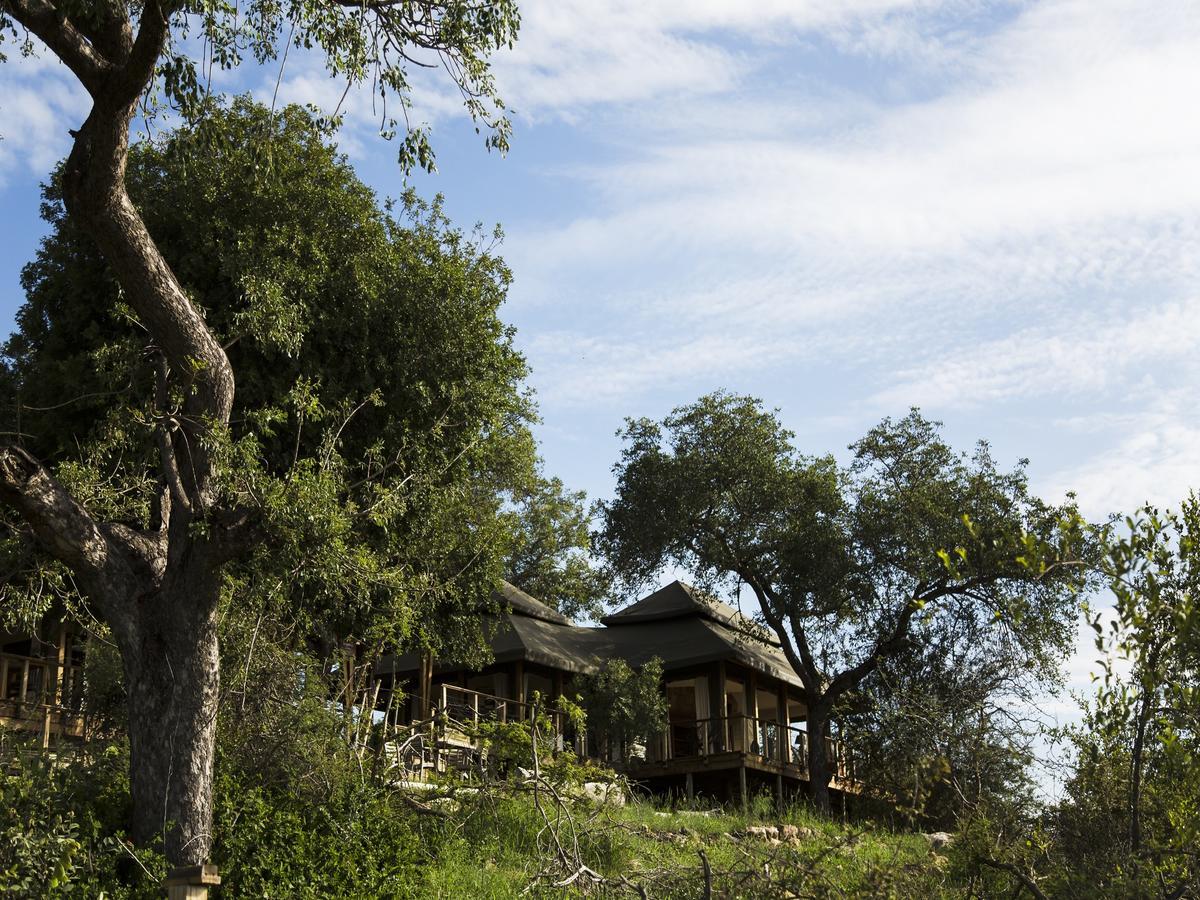 Simbavati Hilltop Lodge Резерват за дивеч „Тимбавати“ Екстериор снимка
